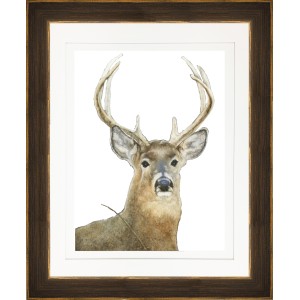 JL- DEER 2